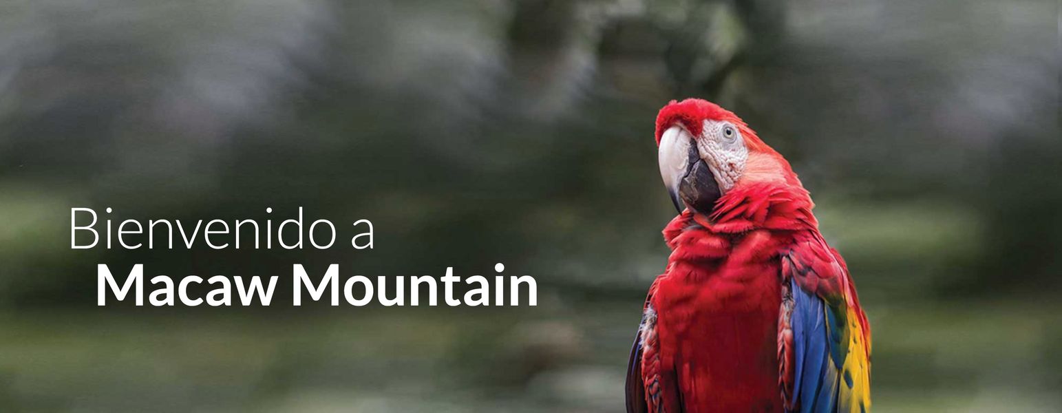 MACAW MOUNTAIN